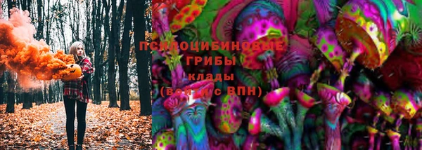 каннабис Алзамай